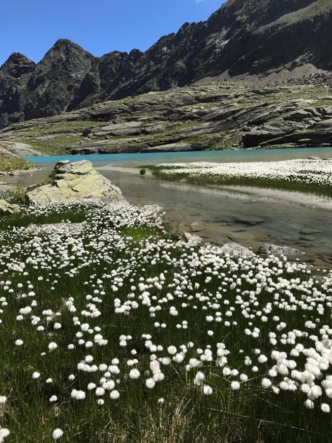 Landhaus Steinmueller Längenfeld Dış mekan fotoğraf
